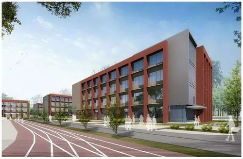喜大普奔 三林地区将新增小学 内含规划图,先睹为快