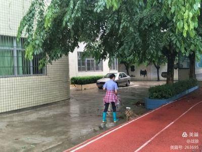 海口市英才小学台风(山竹)过后安全排查